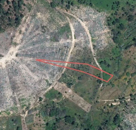 Terreno para Venda em Aldeia do Mato e Souto Foto 1