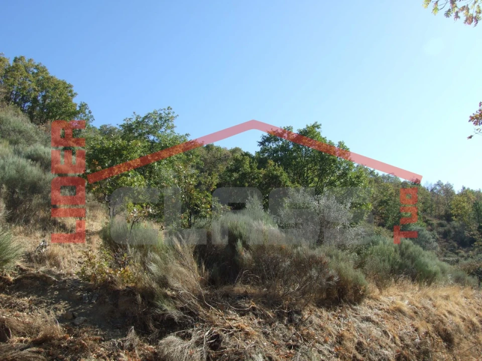 Terreno para Venda em Sambade Foto 8