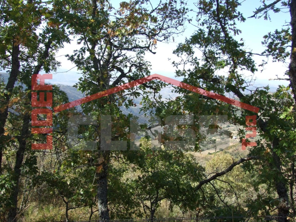 Terreno para Venda em Sambade Foto 9