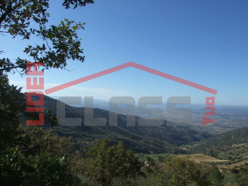 Terreno para Venda em Sambade Foto 14