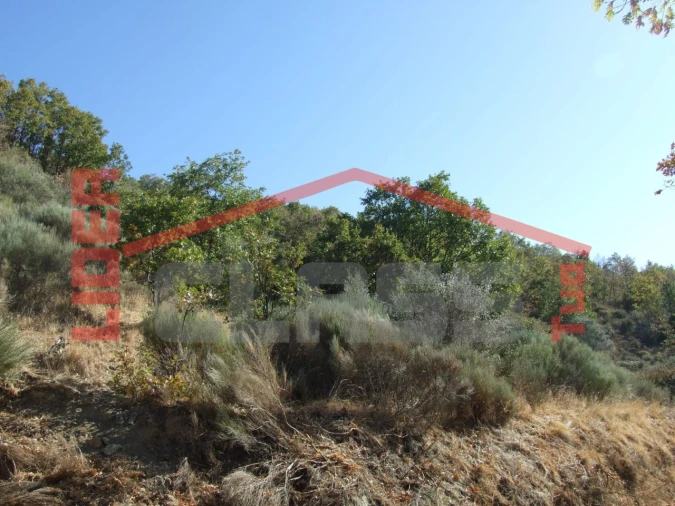 Terreno para Venda em Sambade Foto 8