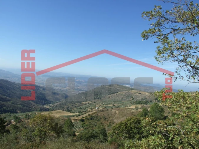 Terreno para Venda em Sambade