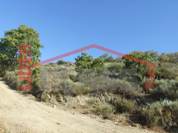 Terreno para Venda em Sambade Foto 6