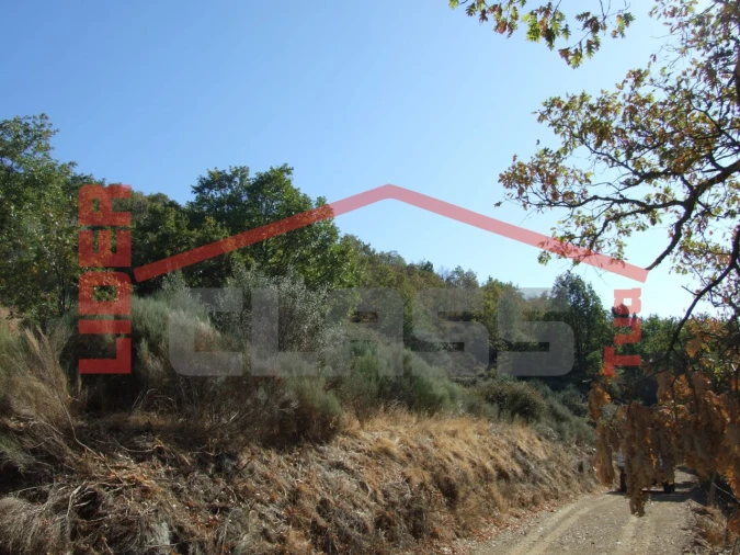 Terreno para Venda em Sambade Foto 10