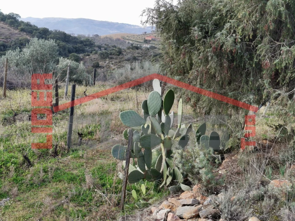 Terreno para Venda em Sampaio Foto 10