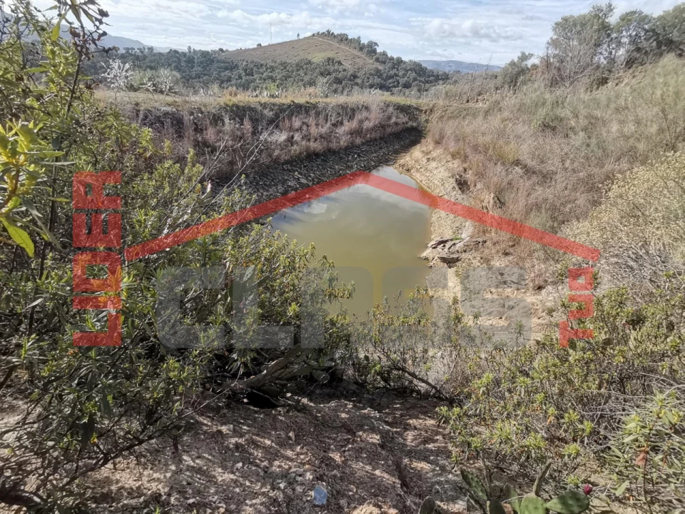 Terreno para Venda em Sampaio Foto 11