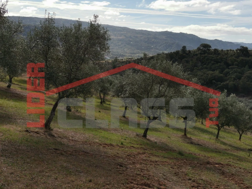 Terreno para Venda em Sampaio Foto 13