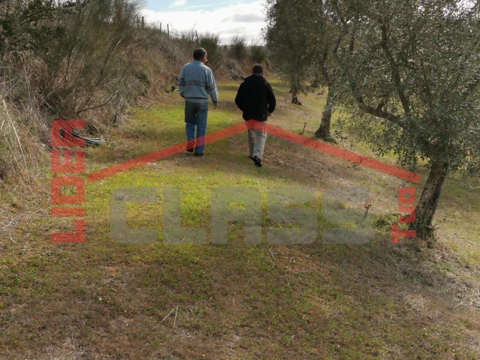 Terreno para Venda em Sampaio Foto 18