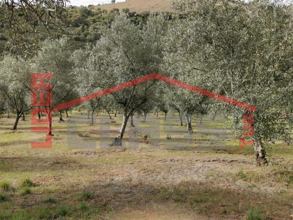 Terreno para Venda em Sampaio Foto 1