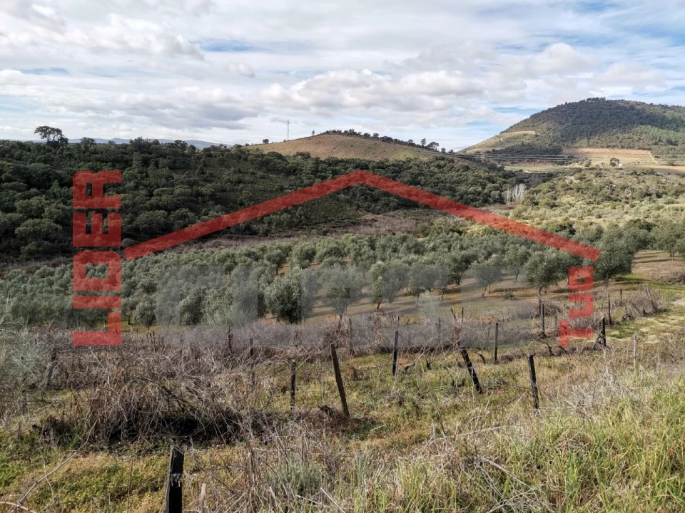 Terreno para Venda em Sampaio Foto 2