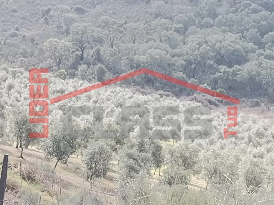 Terreno para Venda em Sampaio Foto 27