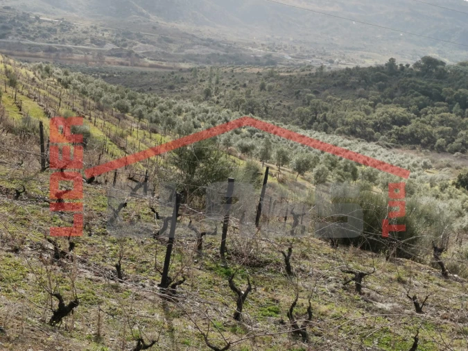 Terreno para Venda em Sampaio Foto 5