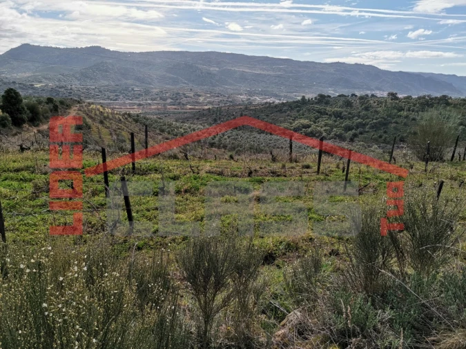 Terreno para Venda em Sampaio Foto 6