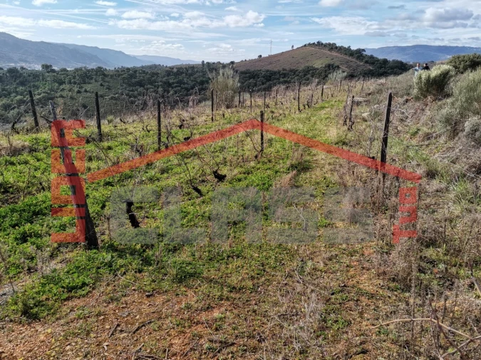 Terreno para Venda em Sampaio Foto 7