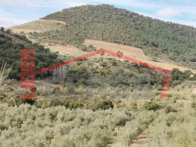 Terreno para Venda em Sampaio Foto 21