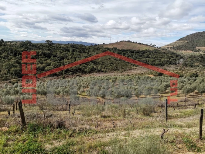 Terreno para Venda em Sampaio Foto 22