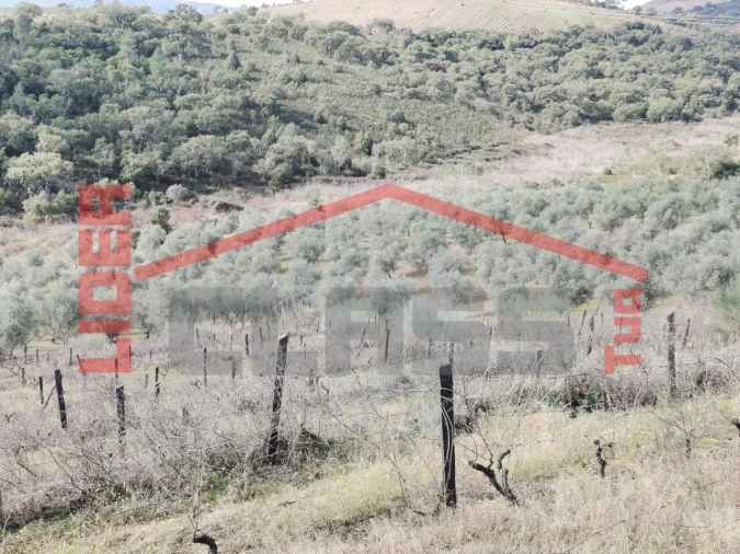 Terreno para Venda em Sampaio Foto 24