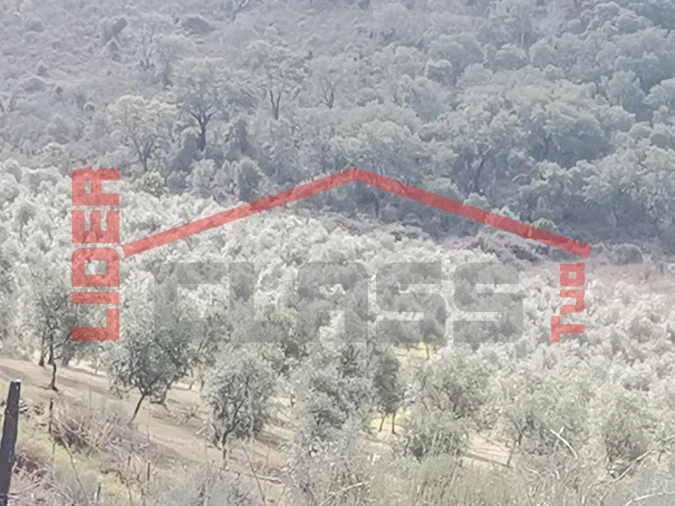 Terreno para Venda em Sampaio Foto 27