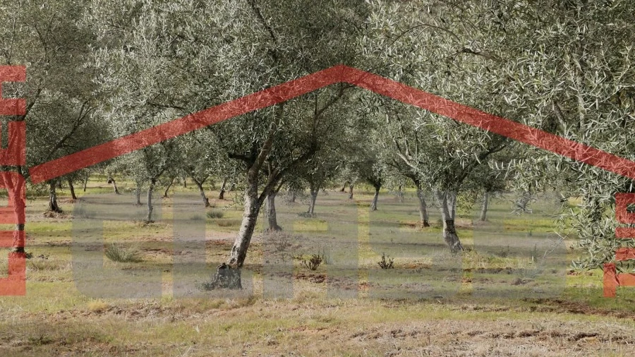 Terreno para Venda em Sampaio