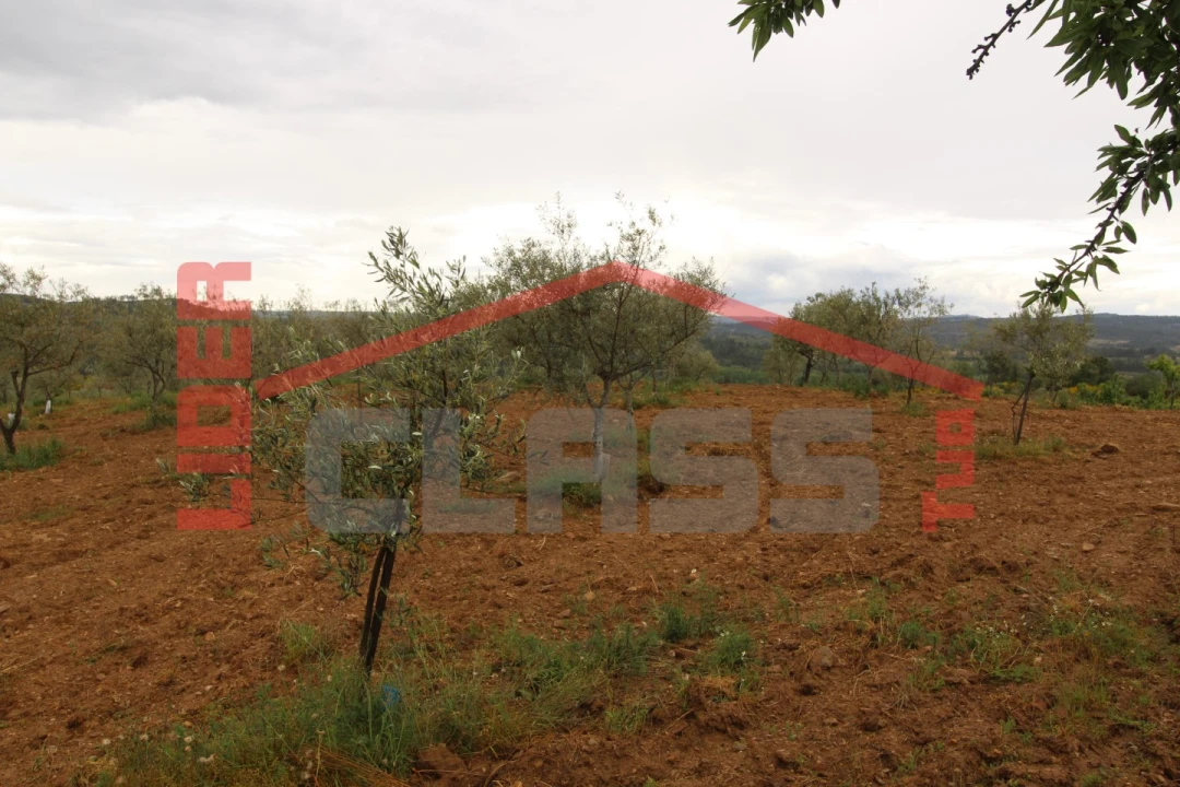 Terreno para Venda em Bouça Foto 2