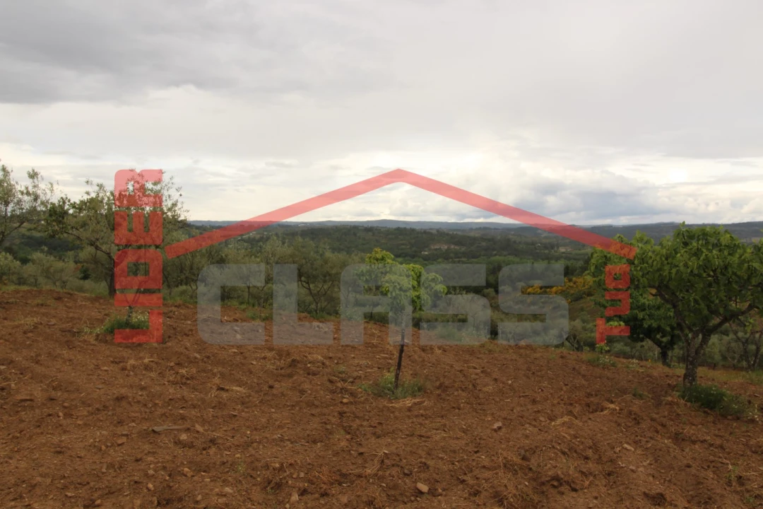 Terreno para Venda em Bouça Foto 7