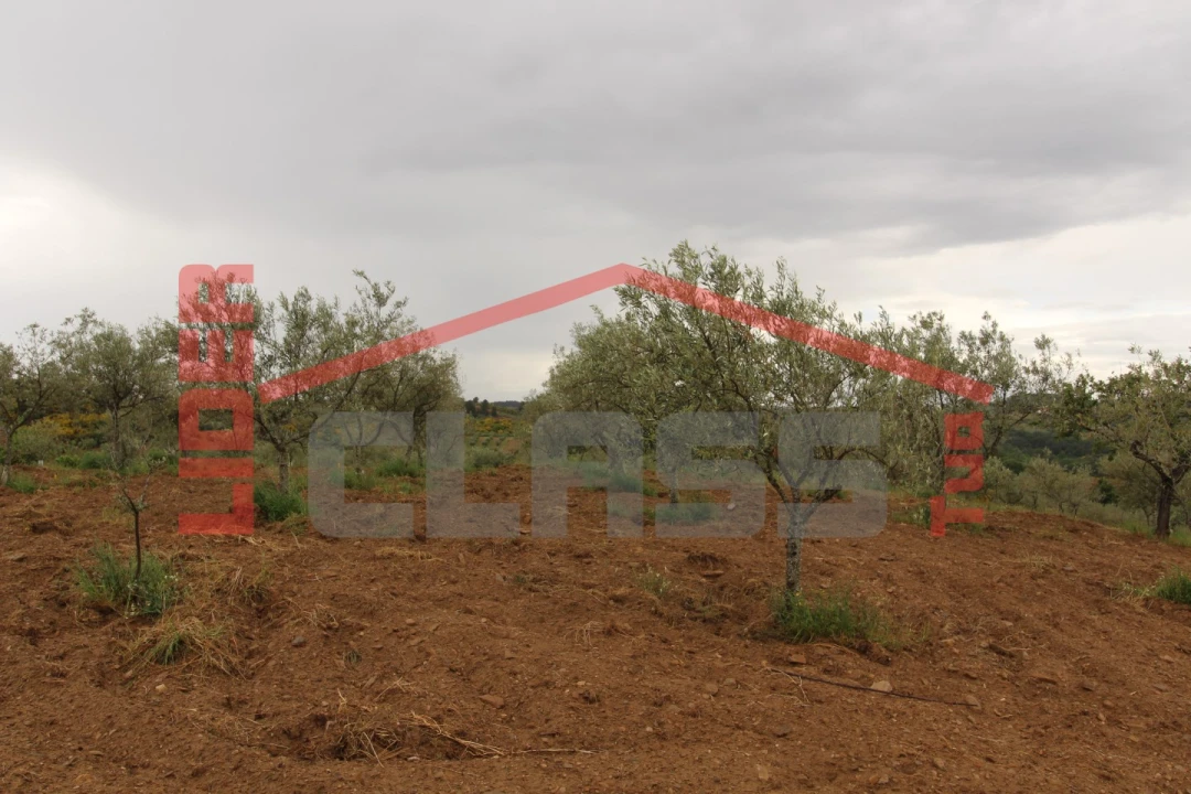 Terreno para Venda em Bouça Foto 8