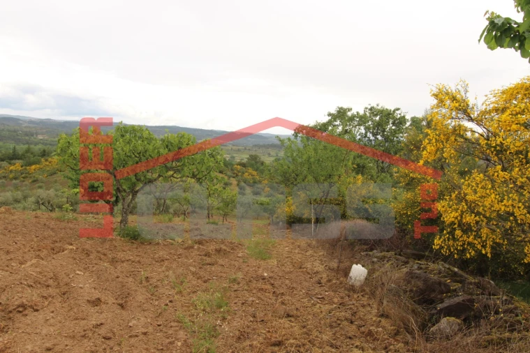 Terreno para Venda em Bouça Foto 6
