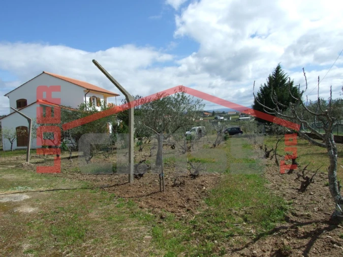 Moradia T4 para Venda em Bouça Foto 21