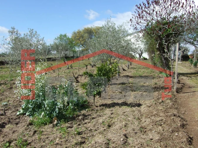 Moradia T4 para Venda em Bouça Foto 23