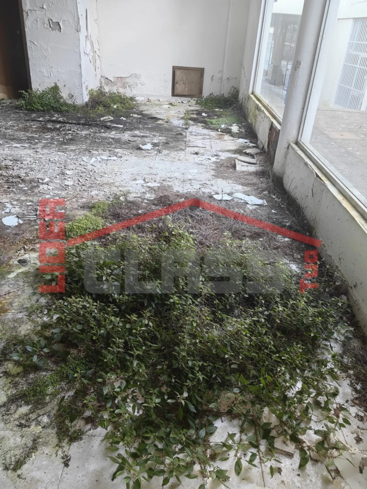 Negócio para Venda em Valpaços e Sanfins Foto 17