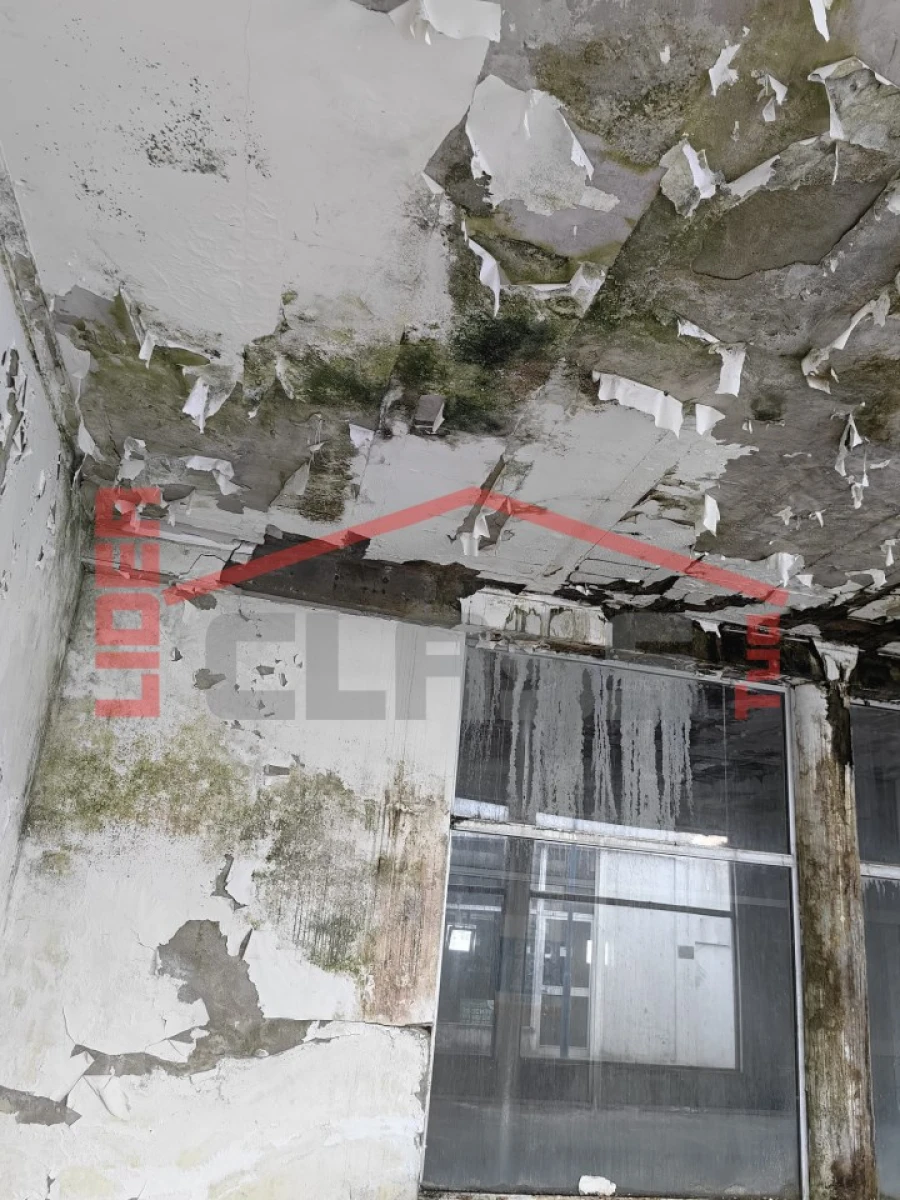 Negócio para Venda em Valpaços e Sanfins Foto 26