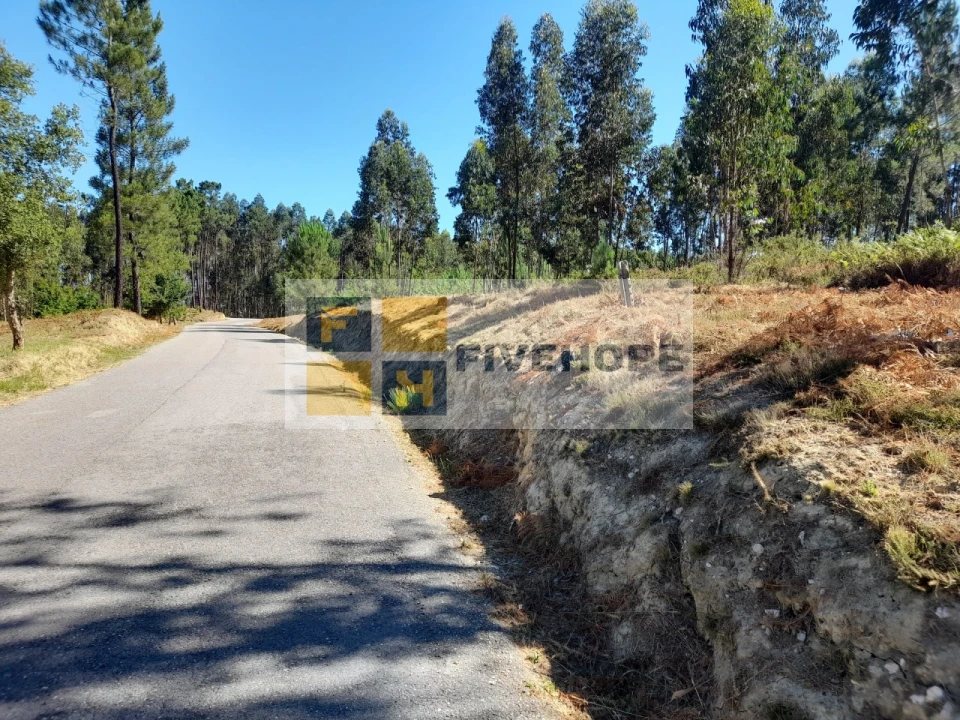 Terreno para Venda em Poiares (Santo Andre) Foto 3