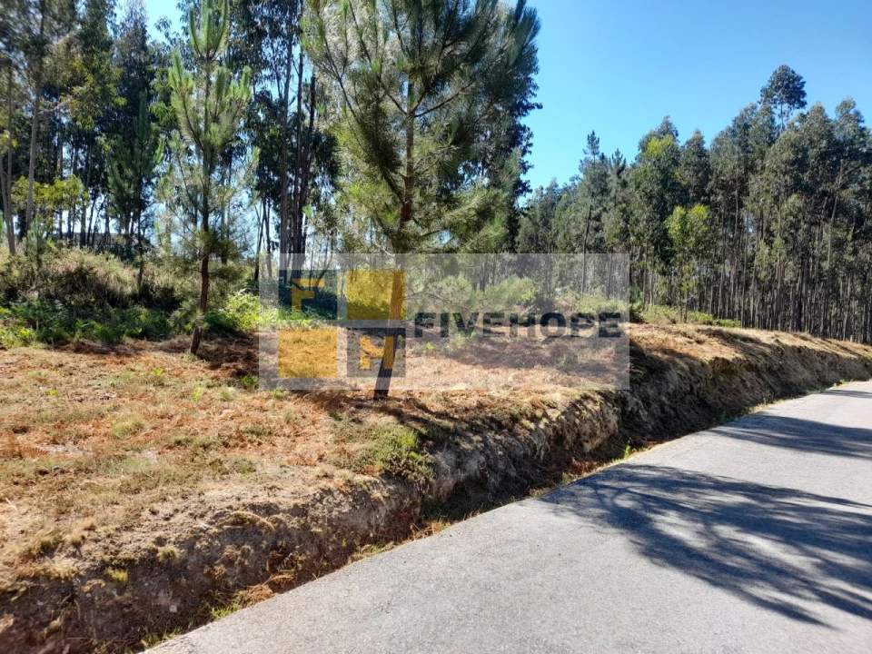 Terreno para Venda em Poiares (Santo Andre) Foto 4