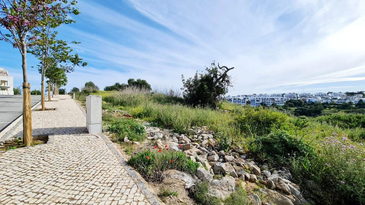 Terreno para Venda em Tavira (Santa Maria e Santiago) Foto 12