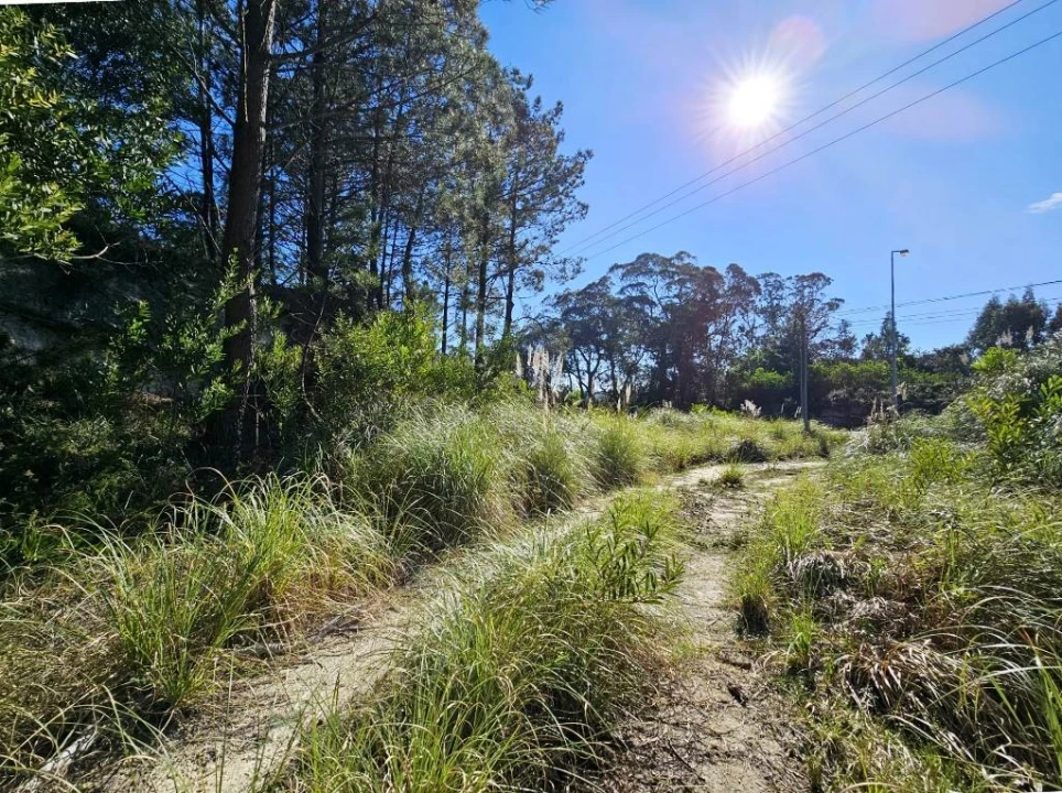 Terreno para Venda em Queluz e Belas Foto 10