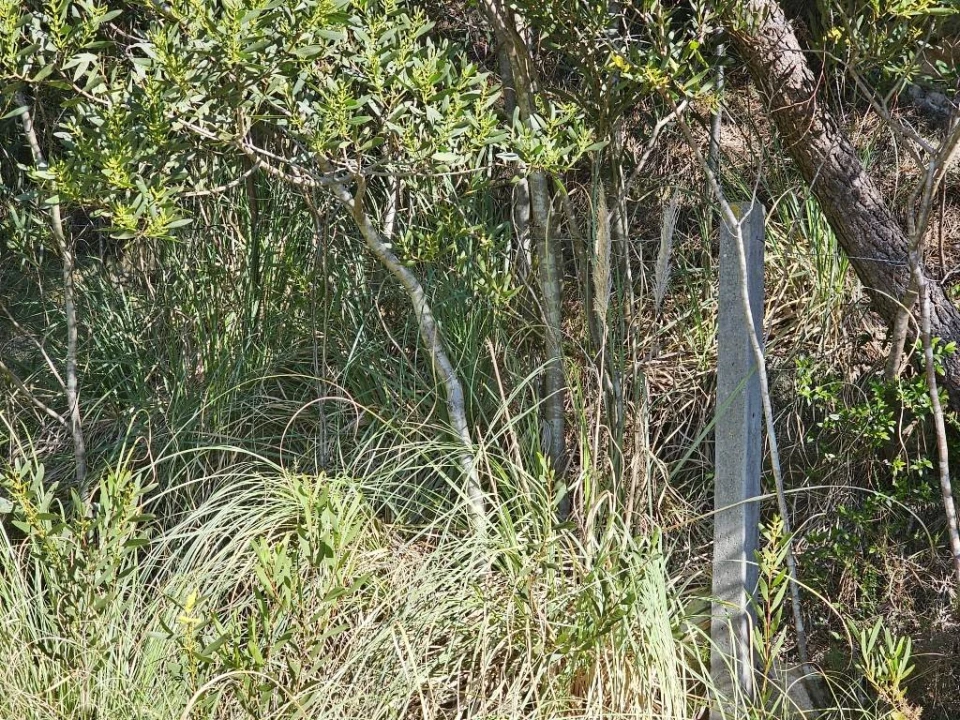 Terreno para Venda em Queluz e Belas Foto 11