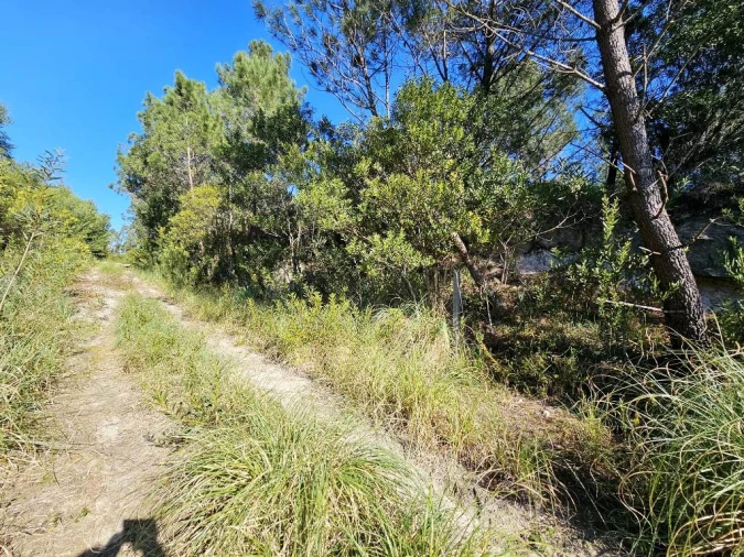 Terreno para Venda em Queluz e Belas Foto 9