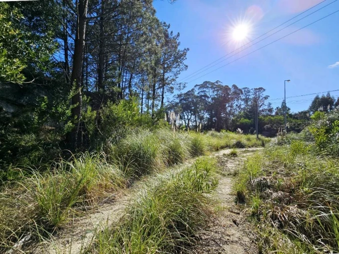Terreno para Venda em Queluz e Belas Foto 10