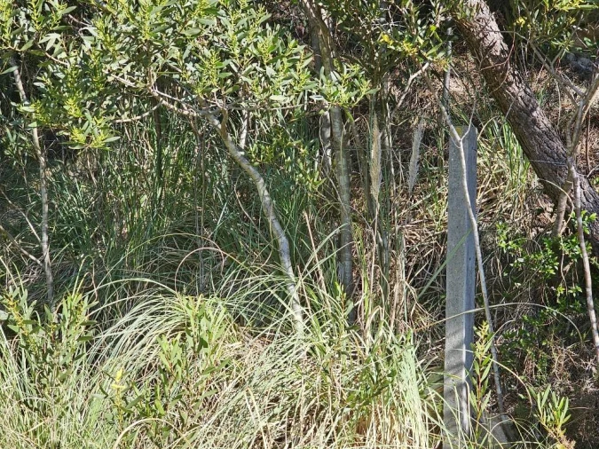 Terreno para Venda em Queluz e Belas Foto 11