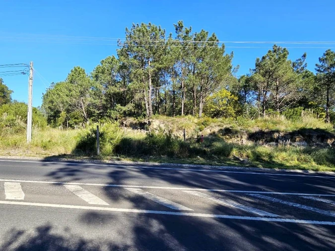 Terreno para Venda em Queluz e Belas Foto 13