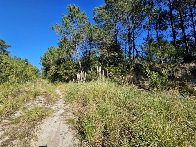 Terreno para Venda em Queluz e Belas Foto 14