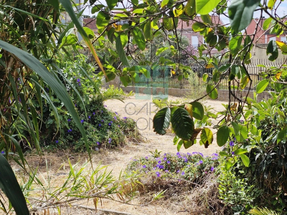 Terreno para Venda em Ajuda Foto 22