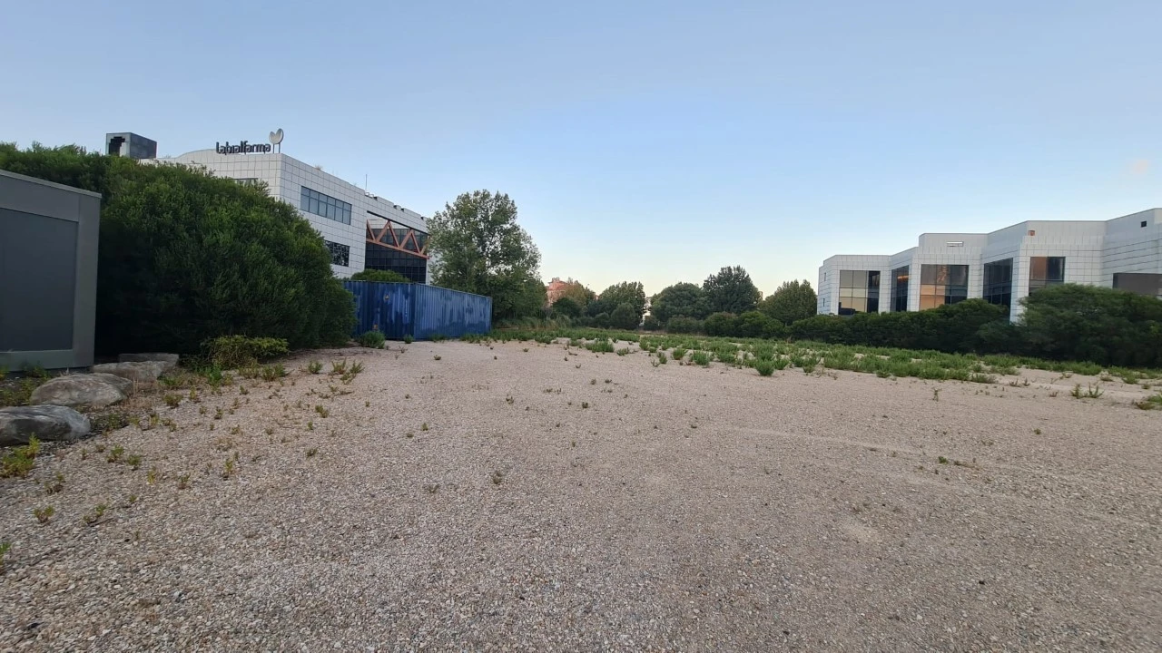 Terreno para Venda em Santa Maria e São Miguel, São Martinho, São Pedro Penaferrim Foto 16