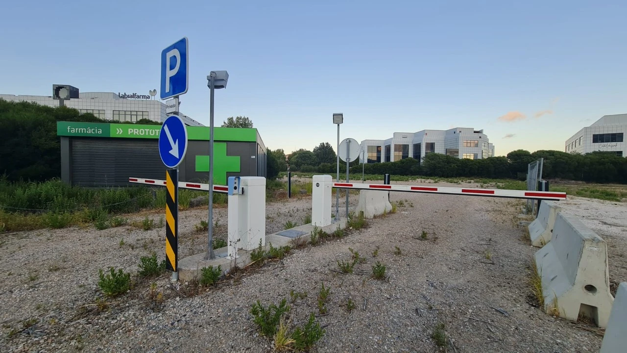 Terreno para Venda em Santa Maria e São Miguel, São Martinho, São Pedro Penaferrim Foto 14