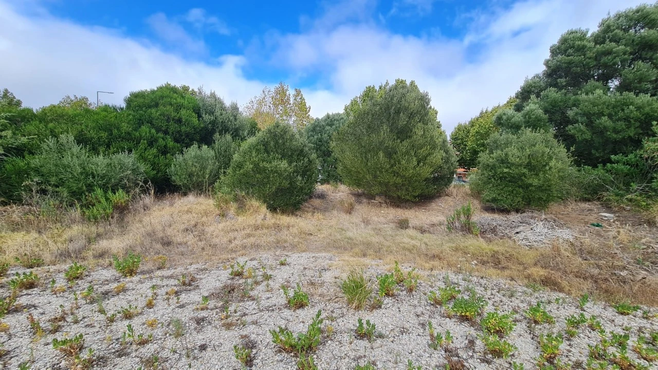 Terreno para Venda em Santa Maria e São Miguel, São Martinho, São Pedro Penaferrim Foto 23