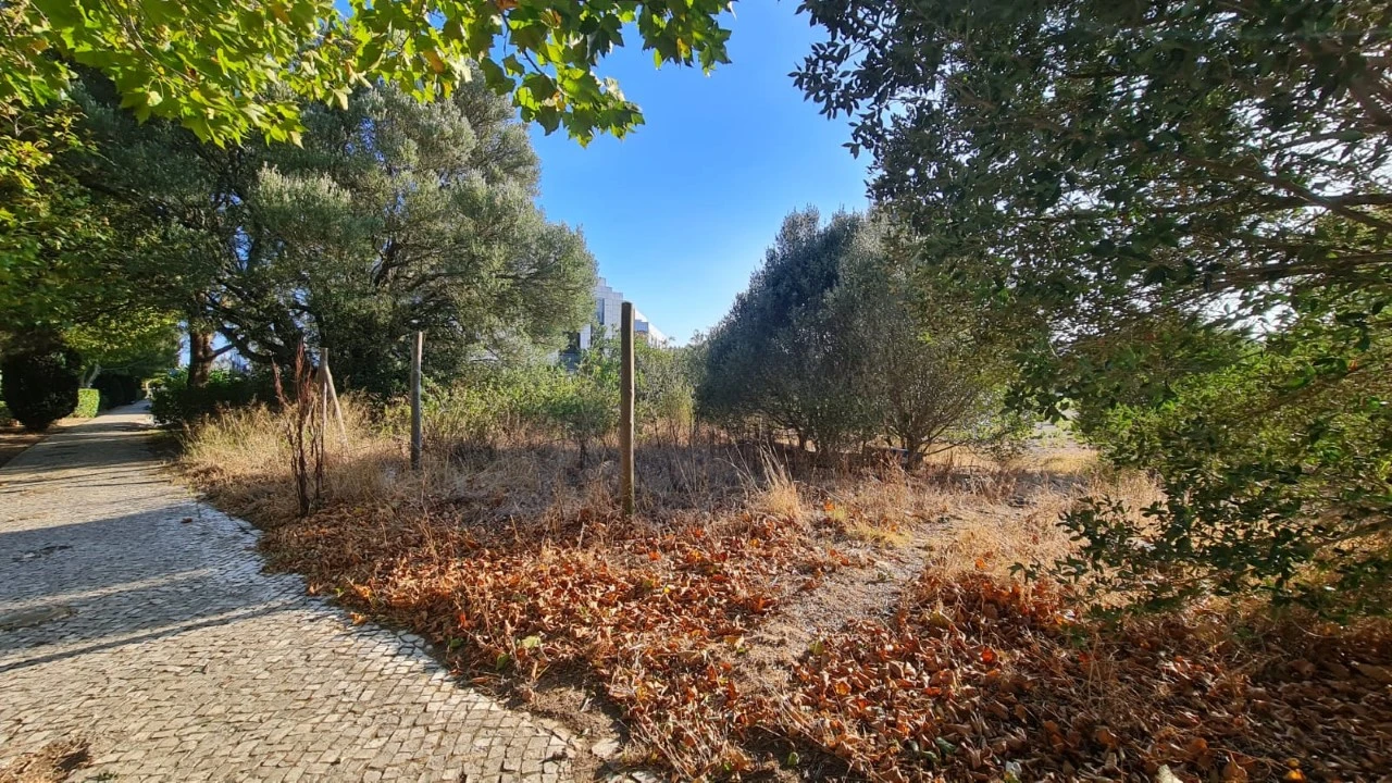 Terreno para Venda em Santa Maria e São Miguel, São Martinho, São Pedro Penaferrim Foto 12
