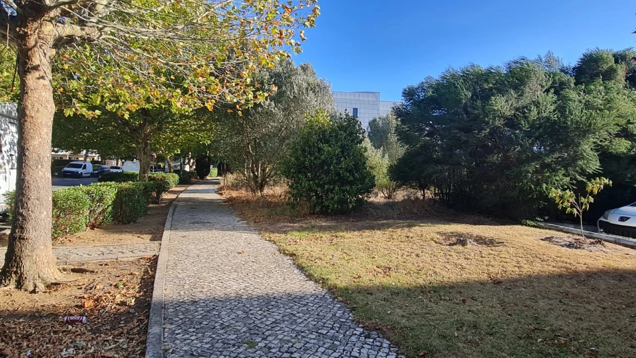 Terreno para Venda em Santa Maria e São Miguel, São Martinho, São Pedro Penaferrim Foto 25
