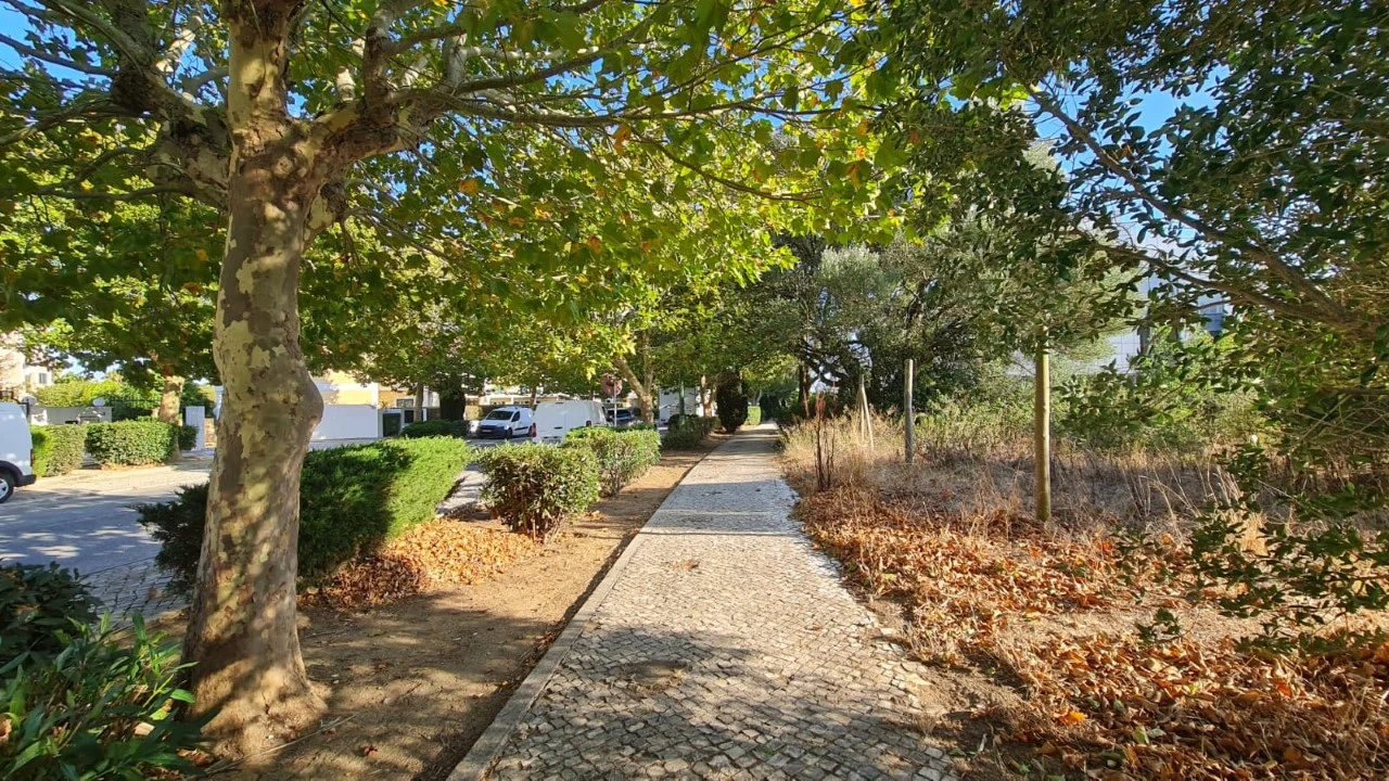 Terreno para Venda em Santa Maria e São Miguel, São Martinho, São Pedro Penaferrim Foto 26