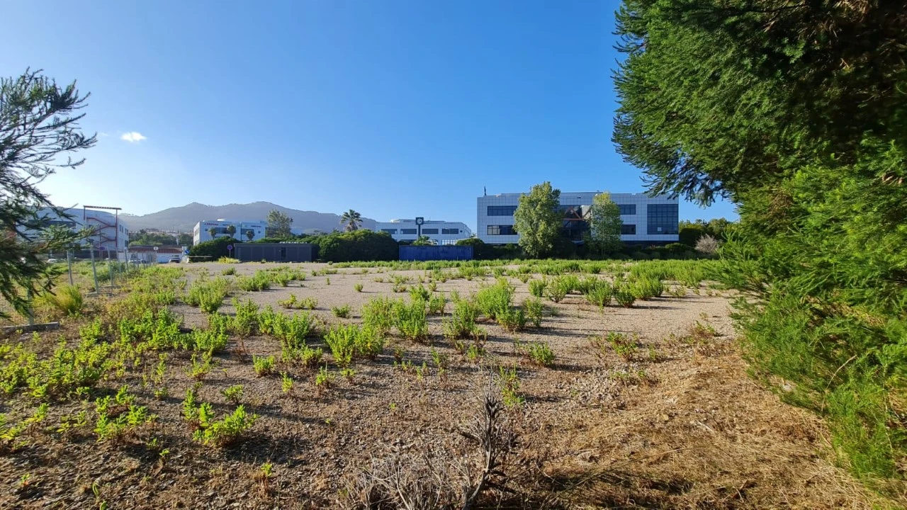 Terreno para Venda em Santa Maria e São Miguel, São Martinho, São Pedro Penaferrim Foto 40