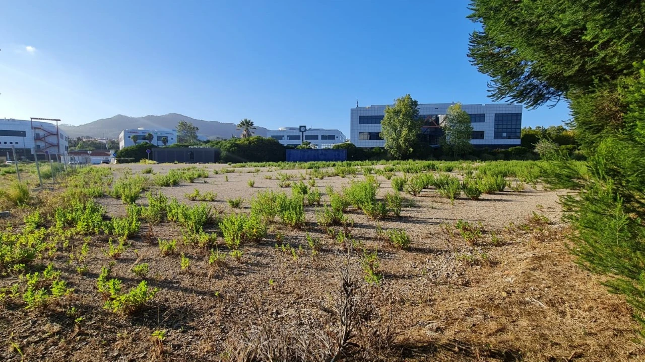 Terreno para Venda em Santa Maria e São Miguel, São Martinho, São Pedro Penaferrim Foto 41